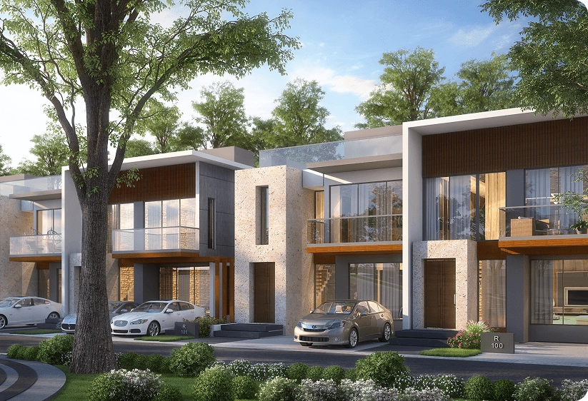 Elegant Living Spaces