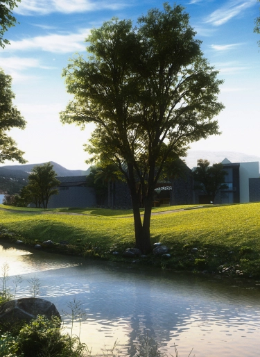 Tranquil Stream