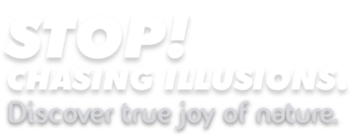 stop chasing illusion