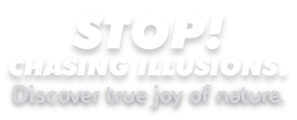 stop chasing illusion